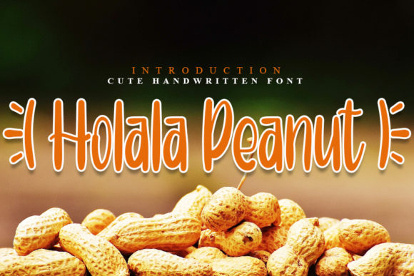 Holala Peanut Display Font for Creative Web Projects